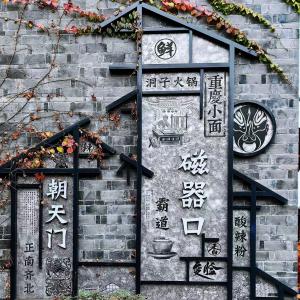 Chongqing One-Day Tour: Sichuan City Check-in