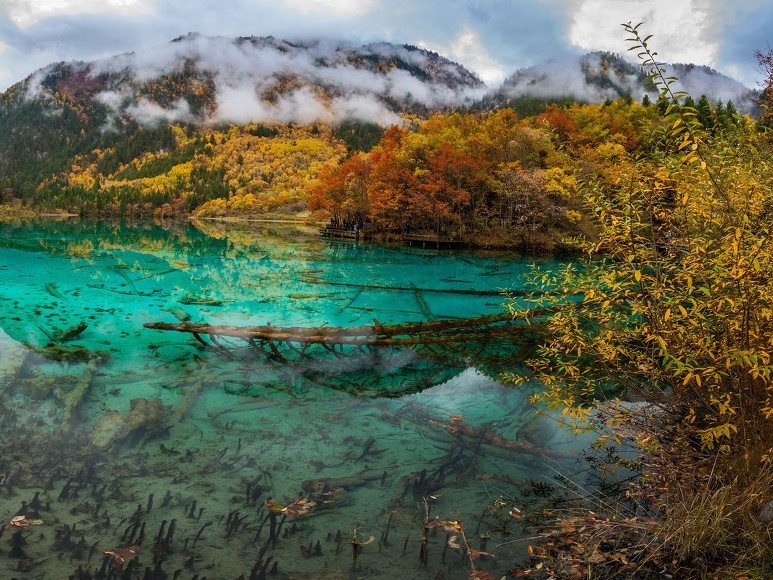 A Brushstroke of Heaven on Earth