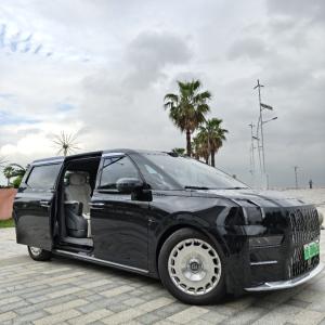 Beijing-Hongqi H9-5seater-car
