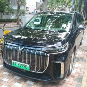 Shanghai-VOYAH- 7-Seater-Car